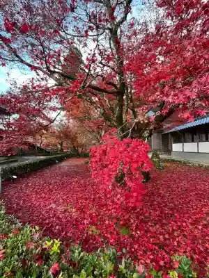 永源寺(滋賀県)
