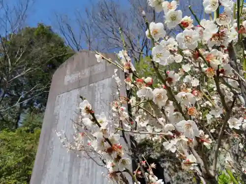 足利織姫神社の自然
