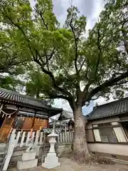 阿保神社(大阪府)