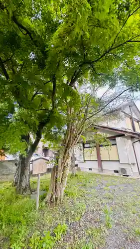 月讀神社(京都府)