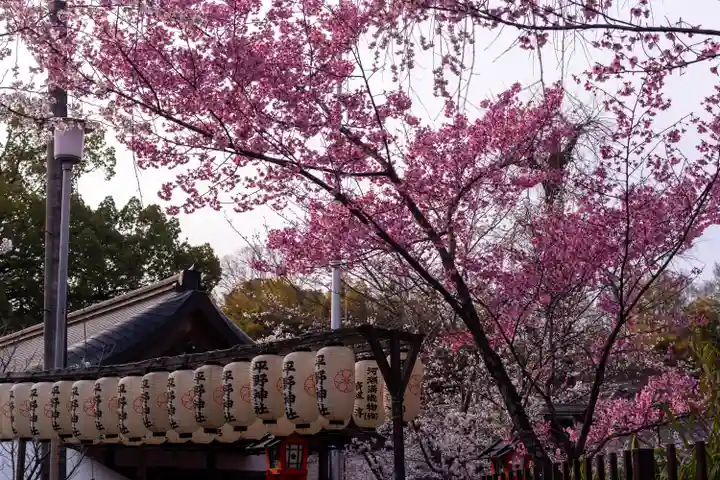 平野神社(京都府)