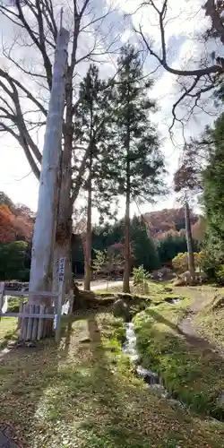 諏訪大社上社前宮の自然