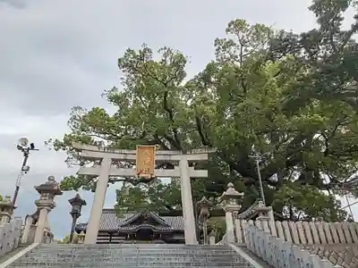 百舌鳥八幡宮(大阪府)
