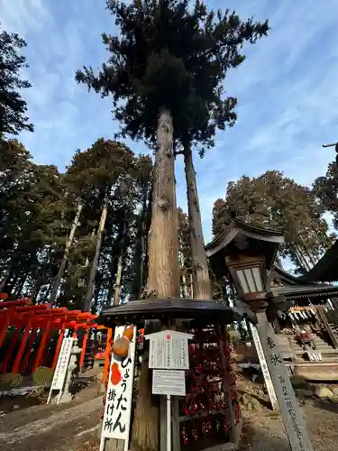 櫛引八幡宮(青森県)