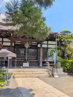 矢口氷川神社(東京都)