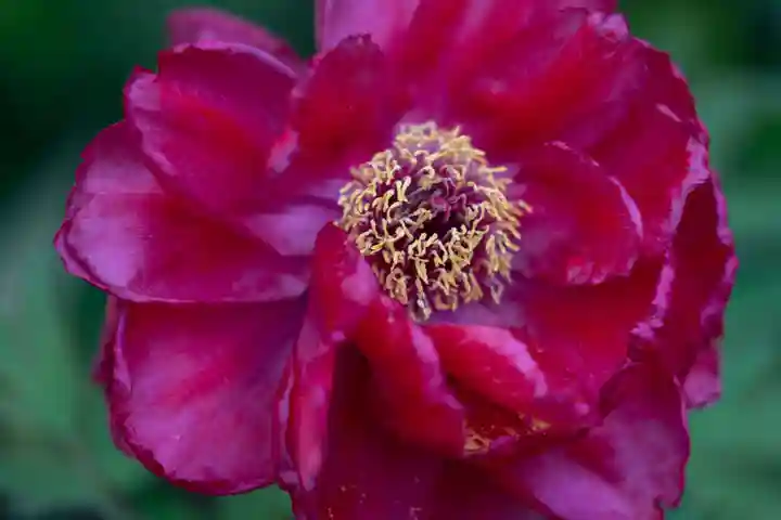 伊勢の国 四天王寺(三重県)