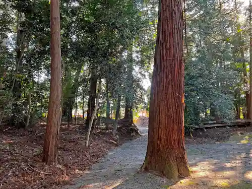 比々岐神社の自然