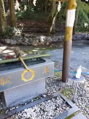 白鳥神社の手水舎