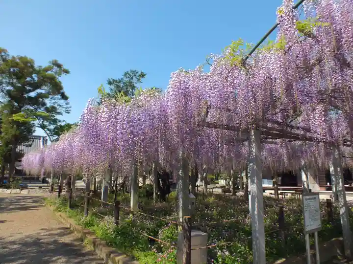 三大神社のその他建物