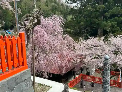 金櫻神社(山梨県)