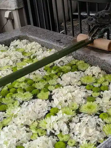 高円寺氷川神社(東京都)