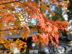 山家神社の自然