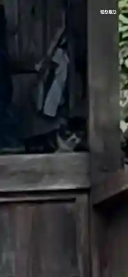 早鷹宮(福岡県)