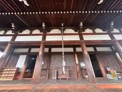 般若寺 ❁﻿コスモス寺❁(奈良県)