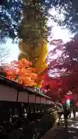 長圓寺の自然