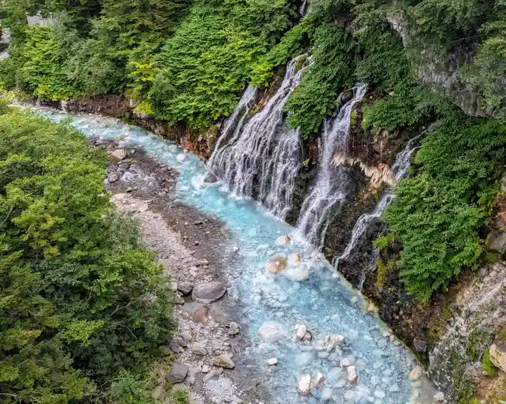 白金神社(北海道)