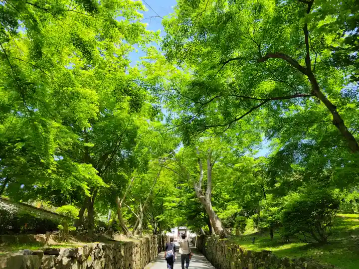 興聖寺(興聖寶林禅寺)(京都府)