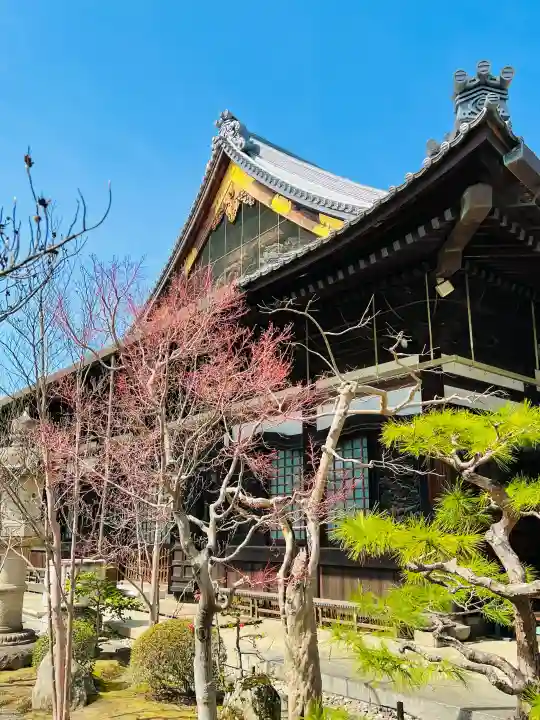善徳寺の{uncategorized: "未分類", other: "その他", undefined: "問題あり", building: "その他建物", grave: "お墓", sacred_gate: "鳥居", guardian: "狛犬", statue: "像", buddha: "仏像", history: "歴史", nature: "自然", garden: "庭園", animal: "動物", pagoda: "塔", temizu: "手水舎", mountain_gate: "山門・神門", sanctuary: "本殿・本堂", subordinate: "末社・摂社", art: "芸術", scenery: "景色", jizo: "地蔵", ema: "絵馬", goshuin: "御朱印", omikuji: "おみくじ", items: "授与品その他", amulet: "お守り", goshuincho: "御朱印帳", eats: "食事", festival: "お祭り", votive_dance: "神楽", shichigosan: "七五三参", wedding: "結婚式", experience: "体験その他", initially: "初詣", around: "周辺", anti_infection: "感染症対策"}