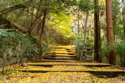 柞原八幡宮(大分県)