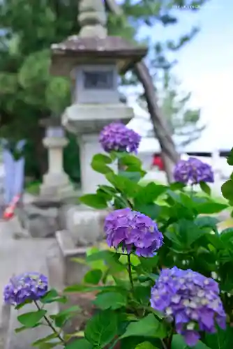二見興玉神社の自然