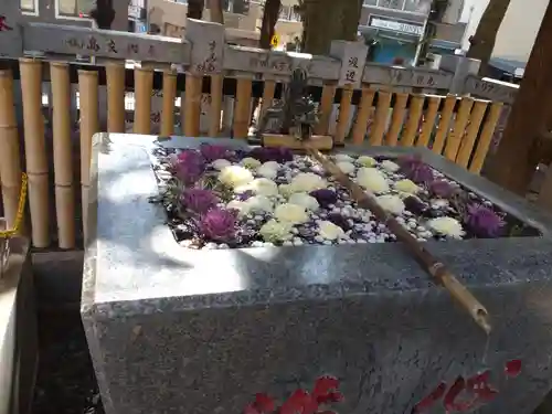 高円寺氷川神社(東京都)