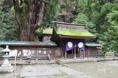 若狭姫神社（若狭彦神社下社）(福井県)