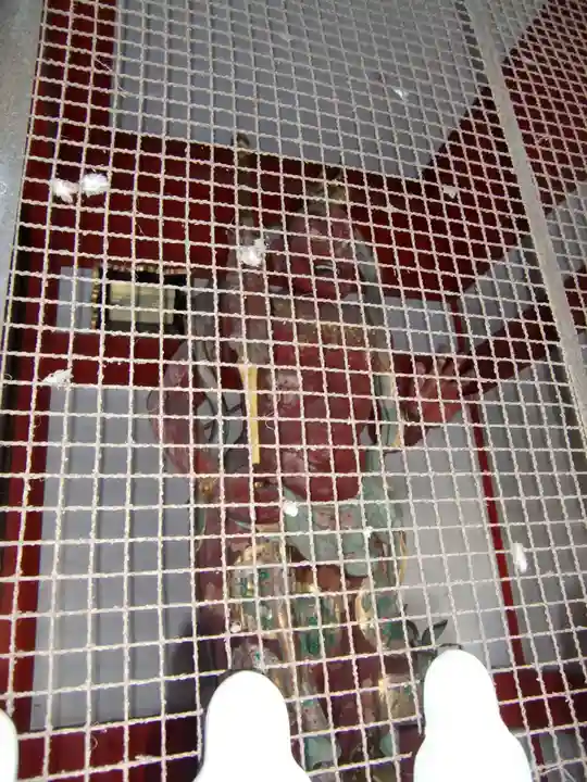 大須観音 (北野山真福寺宝生院)(愛知県)