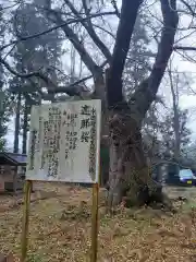 長谷寺の自然