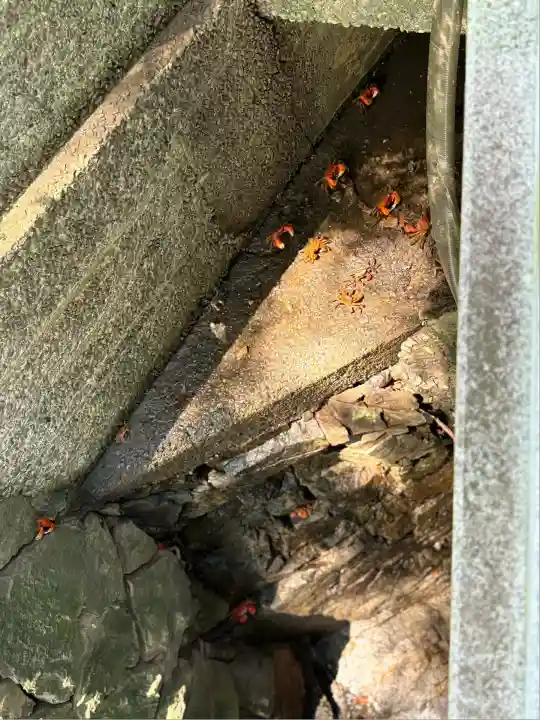 薬王寺(徳島県)