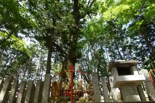 磐栄稲荷宮の末社・摂社