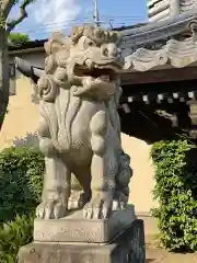 幸龍寺の狛犬