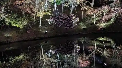 高台寺（高台寿聖禅寺・高臺寺）(京都府)