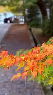 養源院(京都府)