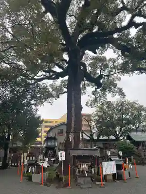正八幡宮(福岡県)