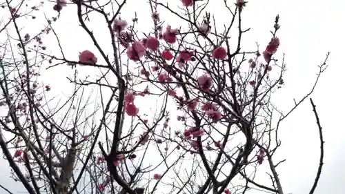 帰厚院(北海道)