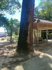 生立八幡宮(福岡県)