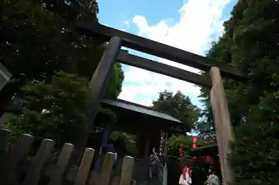 東京大神宮の鳥居