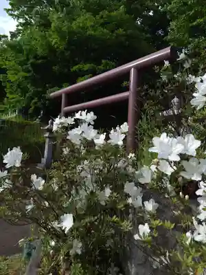 厚別神社(北海道)
