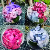 千鶴寺の手水舎