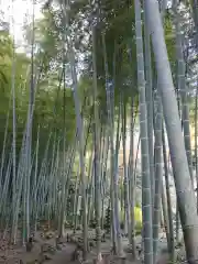 英勝寺(神奈川県)