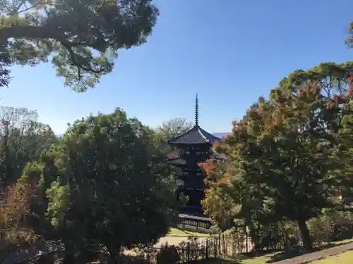 興福寺の塔