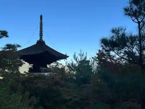 常寂光寺(京都府)