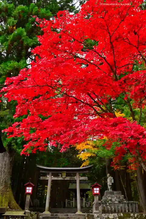北口本宮冨士浅間神社(山梨県)