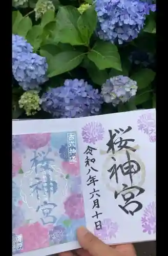 桜神宮の御朱印