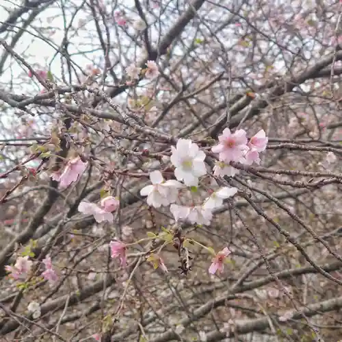 宗像神社(埼玉県)