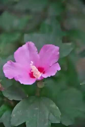 高座結御子神社（熱田神宮摂社）(愛知県)