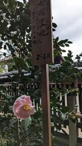 城南宮(京都府)