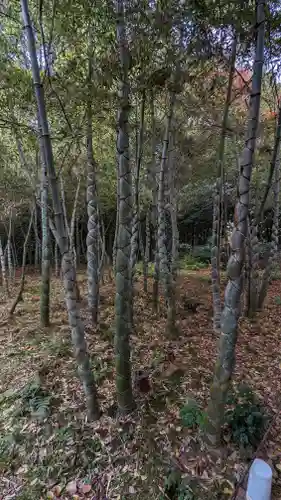 浄住寺(京都府)
