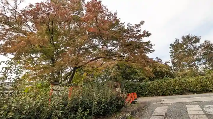 妙心寺(妙心禅寺)(京都府)