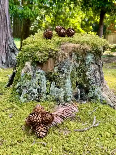 出石神社(兵庫県)